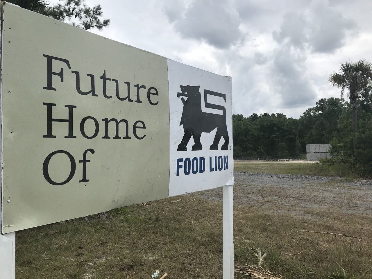 Food Lion coming to Jedburg
